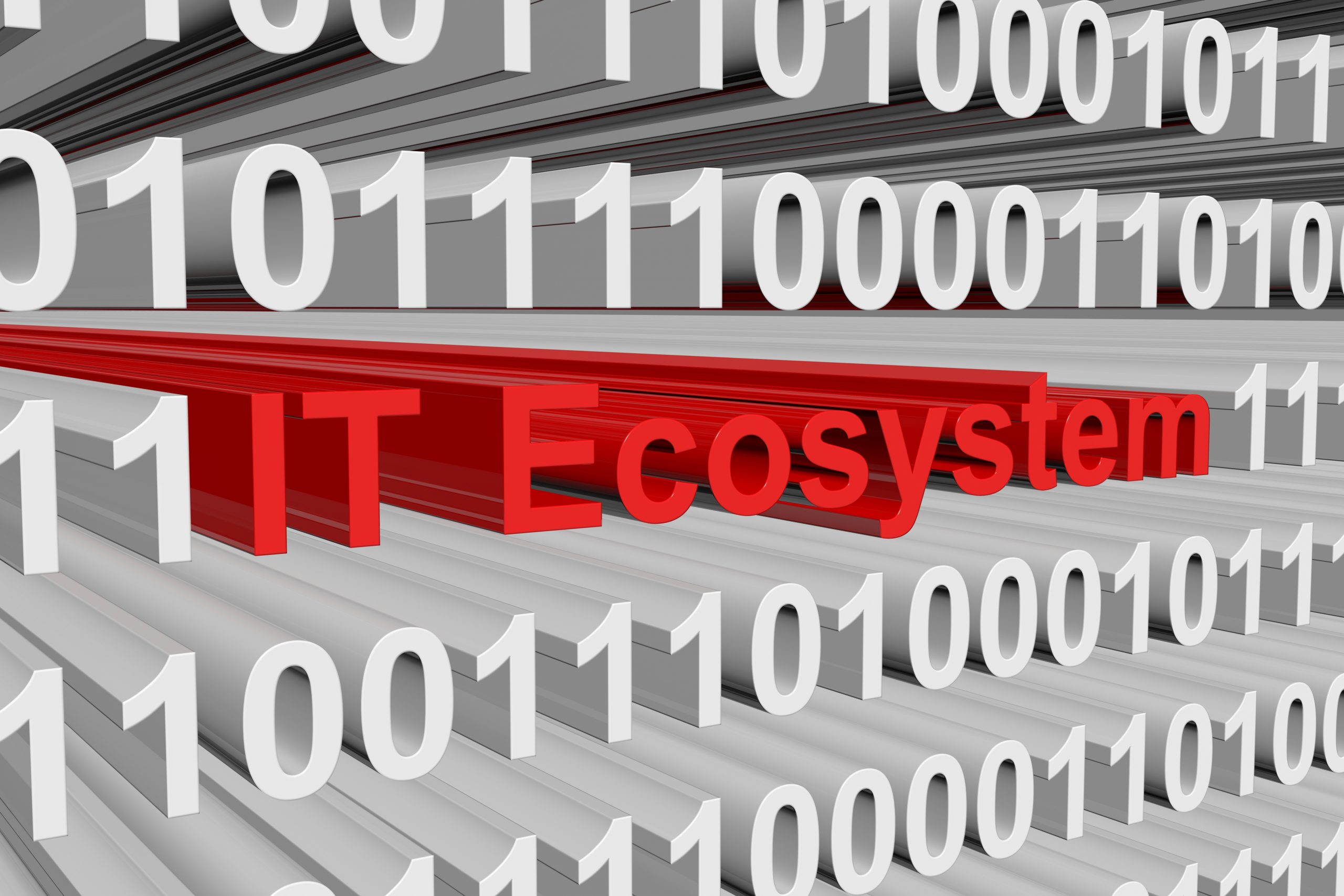 The IT Ecosystem is presented in the form of binary code