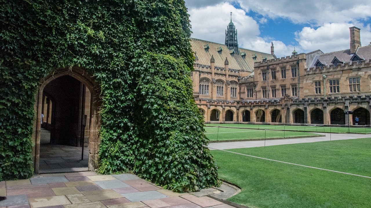 University-Sydney-Summer-Media-1-min University-Sydney-Summer-Media-1-min