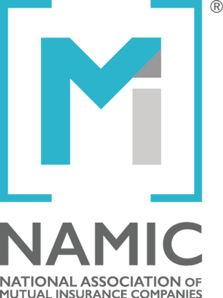 NAMIC