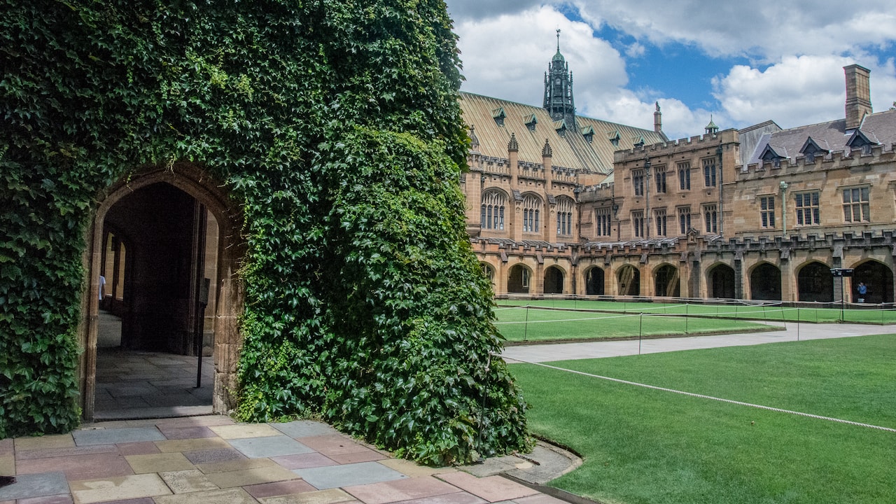 University-Sydney-Summer-Media-1-min