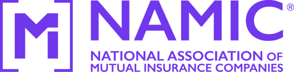 namic-purple-logo